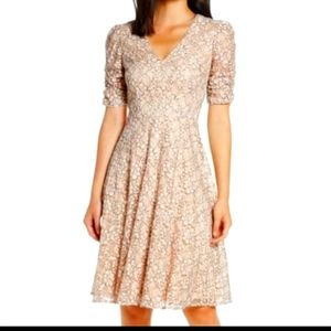 Eliza J Lace  Dress